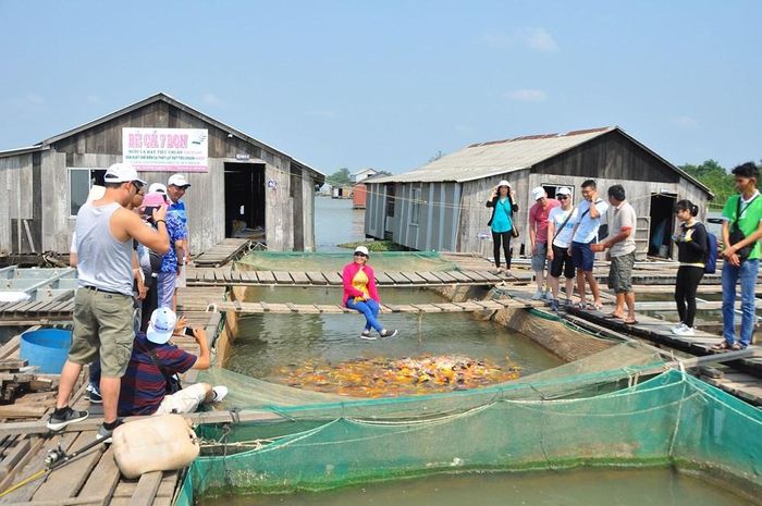 Du khách trải nghiệm làng bè cá Bảy Bon ở khu du lịch cộng đồng Cồn Sơn, TP Cần Thơ