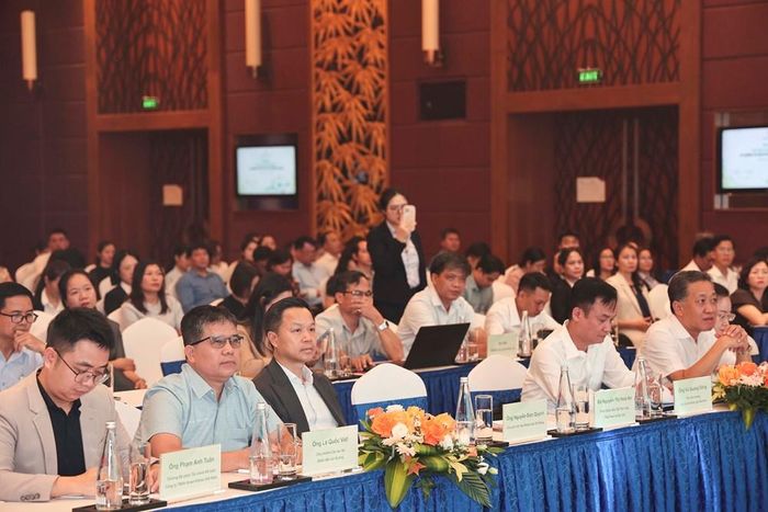 Các đại biểu tham dự hội nghị