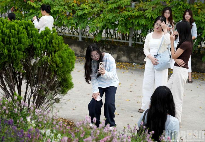 Những ngày này, công viên An Hòa (phường Cầu Giấy) cũng thu hút lượng lớn bạn trẻ tìm đến check-in. Nằm giữa các tòa nhà cao tầng, công viên có không gian rộng rãi, thoáng mát cùng nhiều góc chụp ảnh đẹp.
