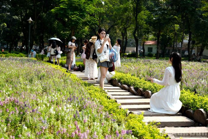 Cách hồ Hoàn Kiếm khoảng 3km, những thảm hoa nhiều màu sắc tại công viên Thống Nhất (phường Hai Bà Trưng) cũng thu hút đông đảo người dân. Nhiều người biết đến địa điểm này qua các video lan truyền trên TikTok và tìm tới chụp ảnh.