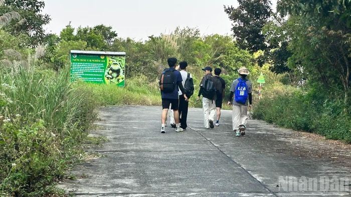 Du khách khám phá du lịch sinh thái trên Bán đảo Sơn Trà. (Ảnh: ANH ĐÀO)