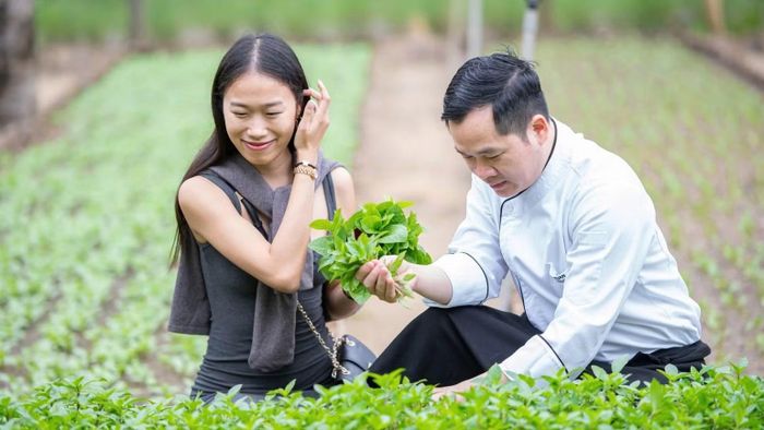 Khu nghỉ dưỡng Furama Resort Đà Nẵng phát triển du lịch xanh bền vững như phát triển hệ sinh thái rừng trong khu nghỉ dưỡng, vận hành nhà máy sản xuất nước uống đóng chai thủy tinh để hạn chế sản phẩm nhựa, trồng rau xanh. (Ảnh: NT)