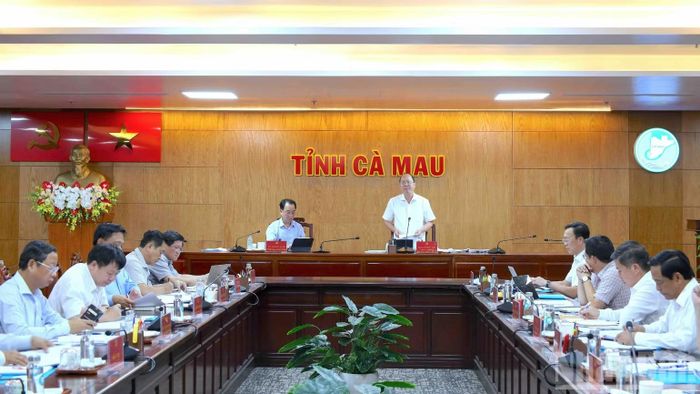 Đồng chí Nguyễn Hồ Hải, Ủy viên Trung ương Đảng, Bí thư Tỉnh ủy Cà Mau (đứng trên) phát biểu chỉ đạo kết luận tại cuộc họp.