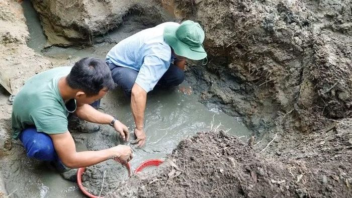 Cán bộ, chiến sĩ thận trọng đào tìm tại khu vực nghi có hài cốt liệt sĩ theo nguồn tin do người dân cung cấp. (Ảnh: THÀNH PHÚC)