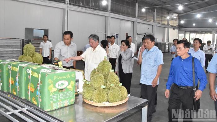Tỉnh Đồng Tháp luôn đồng hành, phục vụ sự phát triển của doanh nghiệp. (NGUYỄN SỰ)