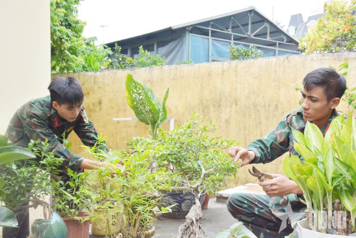Thượng úy QNCN Hoàng Quốc Việt (bên phải), nhân viên lái xe cùng chiến sĩ Đội xe 2 chăm sóc cây cảnh. 