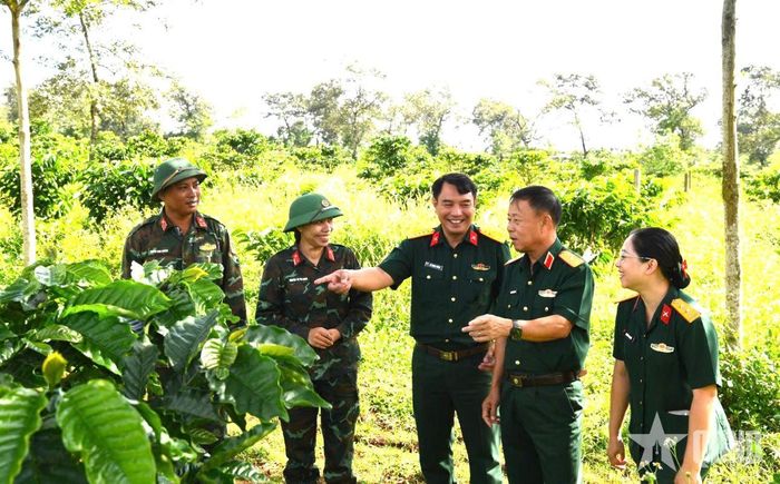 Thiếu tướng Nguyễn Quốc Hương kiểm tra thực tế mô hình trồng, cấy ghép cây cà phê.