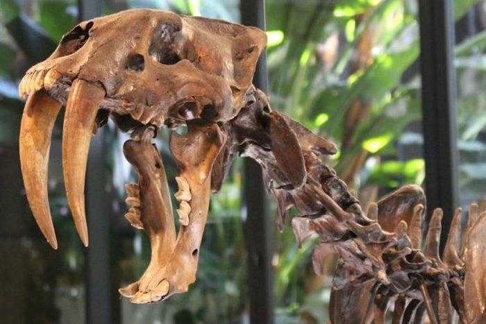 Ảnh: scientificamerican.com