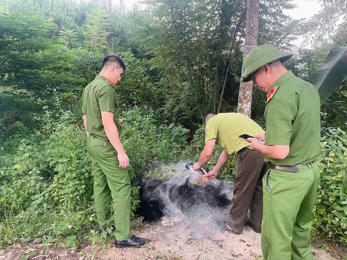 Thời gian tới, Công an xã Việt Hồng tiếp tục phối hợp với lực lượng Kiểm lâm và các đơn vị chức năng tăng cường tuần tra, kiểm tra tại các khu vực có nguy cơ xảy ra tình trạng săn bắt chim hoang dã trái phép; kịp thời phát hiện, xử lý vi phạm theo quy định của pháp luật, đồng thời đẩy mạnh tuyên truyền, vận động Nhân dân nâng cao ý thức bảo vệ động vật hoang dã và môi trường sinh thái.