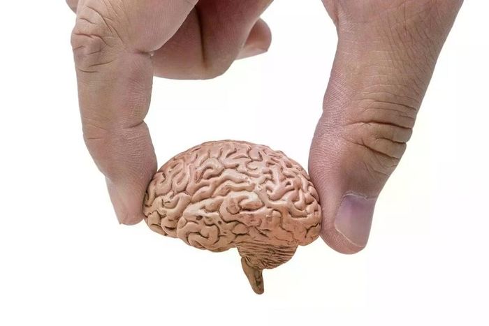 Lão hóa não không chỉ đơn thuần là quá trình suy giảm.
