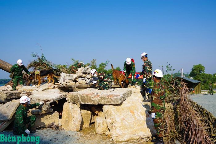 Huấn luyện viên và chó nghiệp vụ Trường Trung cấp 24 Biên phòng phối hợp với lực lượng cứu hộ Lào, Campuchia tìm kiếm nạn nhân trong đống đổ nát tại công trình sập đổ. Ảnh: Quang Thanh
