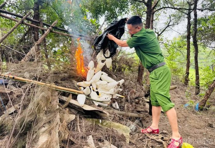 Tiêu hủy các công cụ săn bắt chim trời. Ảnh: Kim Long