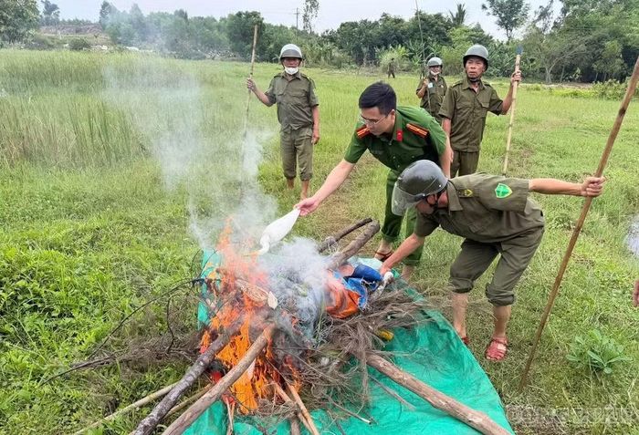 Lực lượng chức năng tiêu hủy nhiều phương tiện, dụng cụ phục vụ việc bẫy bắt như lưới, chim mồi, keo dính và bả. Ảnh: Kim Long