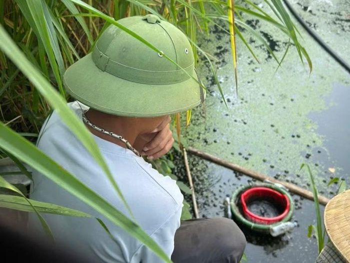 Anh An xót xa nhìn ao ốc chết hàng loạt trước ngày thu hoạch.
