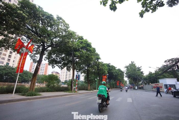 Tuy nhiên, tại một số khu dân cư có mật độ cây hoa sữa dày đặc, mùi hương nồng nặc lại trở thành nỗi phiền toái trong sinh hoạt.