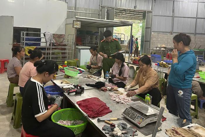 Lực lượng chức năng kiểm tra cơ sở sản xuất, chế biến chân gà tại xã Quốc Khánh. Ảnh: Công an tỉnh Lạng Sơn