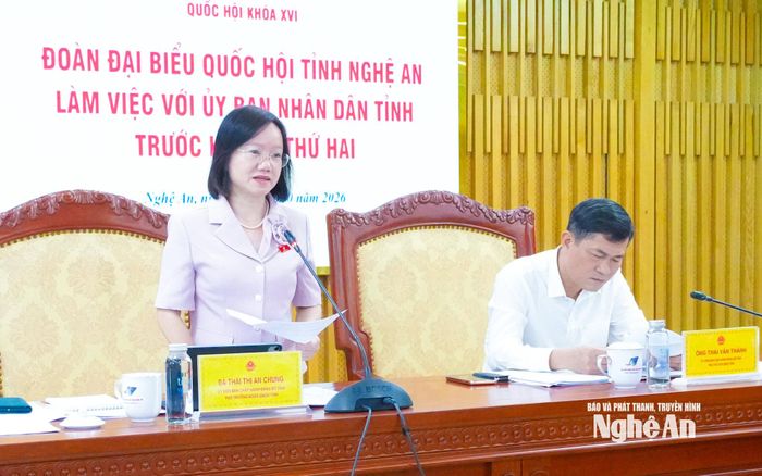 Phó trưởng Đoàn chuyên trách Đoàn đại biểu Quốc hội tỉnh Thái Thị An Chung chủ trì cuộc làm việc. Ảnh: Mai Hoa