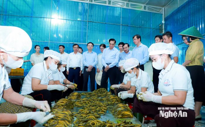Đoàn công tác đến thăm Làng nghề nuôi, chế biến lươn Phan Thanh ở xã Hợp Minh. Ảnh: Thành Duy