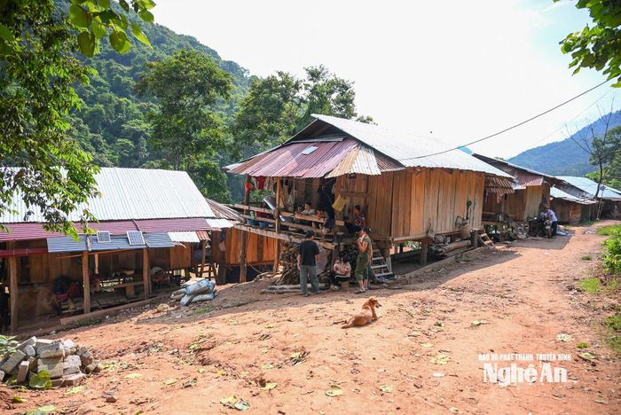 Bản Cha Nga là nơi sinh sống của đồng bào Người Thái, xã Mỹ Lý. Ảnh: Thành Cường