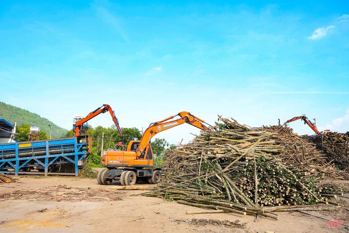 Việc doanh nghiệp, hợp tác xã và người dân liên kết sản xuất, tiêu thụ gỗ rừng trồng có chứng chỉ FSC không chỉ góp phần nâng cao giá trị nguyên liệu mà còn thúc đẩy thay đổi phương thức trồng, chăm sóc, bảo vệ và khai thác rừng theo hướng có trách nhiệm; qua đó, bảo vệ sinh thái và nâng cao giá trị rừng trồng tại Hà Tĩnh.