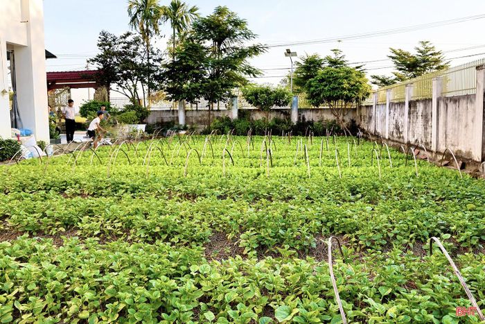 Tại xã Đức Quang, vùng “rốn lũ” ngoài đê La Giang, sản xuất rau vụ đông thường xuyên chịu tác động của mưa bão, ngập lụt. Tuy vậy, người dân vẫn tận dụng diện tích vườn nhà cùng lượng phù sa được bồi đắp sau mỗi mùa lũ để trồng rau. Những vườn rau xanh tốt không chỉ góp phần tạo cảnh quan nông thôn mà còn mang lại nguồn thu nhập đáng kể cho bà con nông dân.