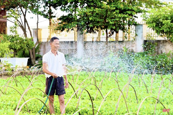  Ông Trần Trị (thôn Triều Đông, xã Đức Quang) chia sẻ: “Gia đình tôi trồng hơn 1 sào các loại rau vụ đông như cải, mồng tơi, khoai lang... Để rau sinh trưởng tốt, gia đình chủ động chăm sóc theo diễn biến thời tiết, che phủ khi mưa, tưới nước khi nắng, bón phân phù hợp với từng giai đoạn phát triển của cây. Nhờ đó, mỗi ngày, gia đình cung ứng ra thị trường khoảng 50-60 bó rau các loại, mang lại nguồn thu nhập ổn định từ 400.000-500.000 đồng”. 