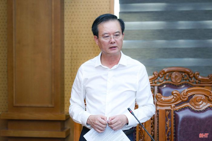 Đồng chí Trần Báu Hà - Ủy viên BTV Tỉnh ủy, Phó Chủ tịch Thường trực UBND tỉnh phát biểu một số nội dung tại cuộc họp.
