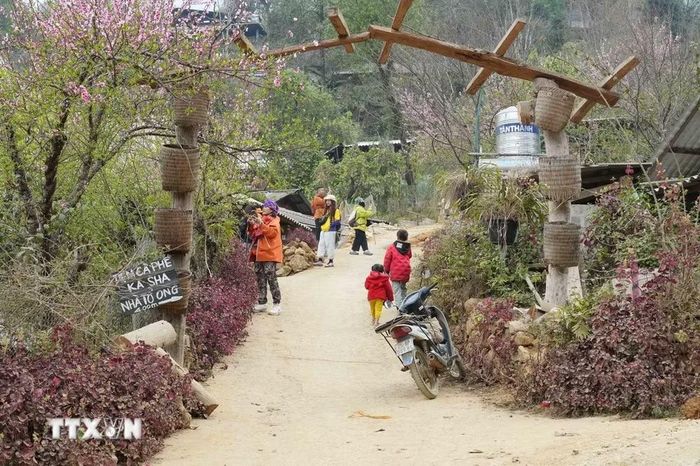 Sau hành trình chinh phục các cung đường, du khách có thể lưu trú tại các bản du lịch cộng đồng, thưởng thức ẩm thực truyền thống, tham gia các hoạt động văn hóa, tìm hiểu nghề thủ công và đời sống của đồng bào địa phương. (Ảnh: Nguyễn Oanh/TTXVN)