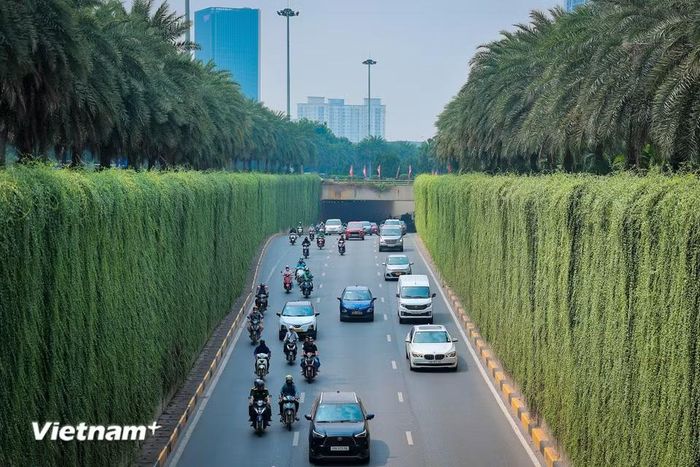 Sở Xây dựng cũng rà soát, lập phương án thiết kế và triển khai thí điểm tại ba trụ đường sắt trên cao trên đường Nguyễn Trãi, trước tòa nhà Royal City; hầm chui Lê Văn Lương-Tố Hữu; cầu vượt Lê Văn Lương-Láng Hạ và ba nhà chờ xe buýt ở các tuyến phố trung tâm. (Ảnh: Như Lan/Vietnam+)