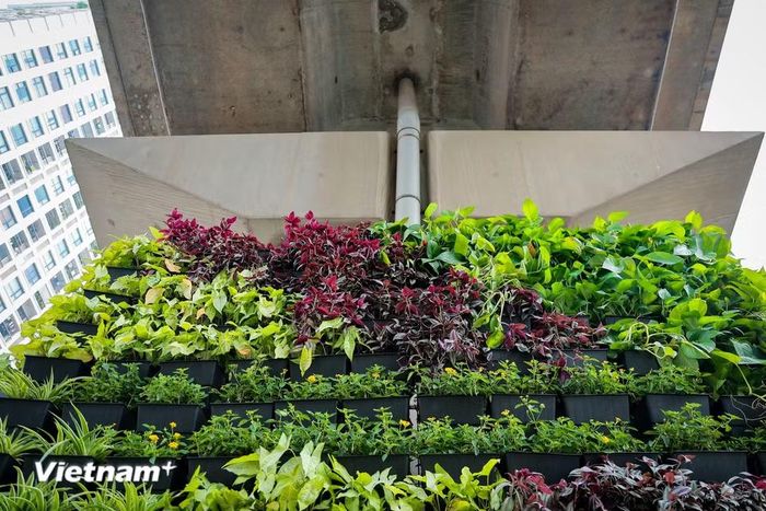 Ngoài các cầu vượt và hầm chui, các trụ cầu đường sắt trên cao sẽ được thay thế bởi màu xanh dịu mát, giúp giảm bớt cảm giác ngột ngạt cho người tham gia giao thông vào giờ cao điểm. (Ảnh: Như Lan/Vietnam+)