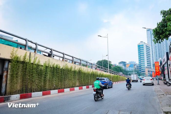 Tại cầu vượt Lê Văn Lương-Láng Hạ, khu vực nghiên cứu phủ xanh là phần tường chân cầu, với khoảng 200m2 giàn leo. Hệ giàn dự kiến chia thành từng khoang phù hợp với kiến trúc công trình. (Ảnh: Như Lan/Vietnam+)