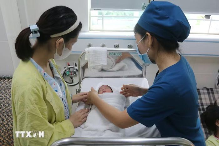 Việt Nam cần có chính sách kinh tế phù hợp, đặc biệt là bảo đảm thu nhập để người lao động có điều kiện nuôi dạy con. (Ảnh: TTXVN)