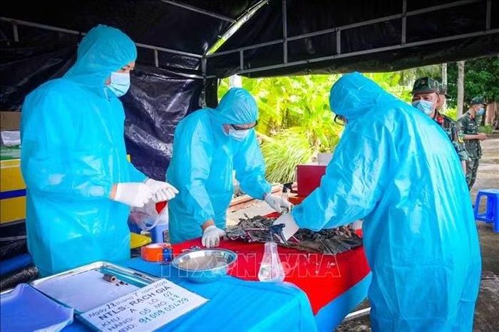 Các lực lượng làm nhiệm vụ lấy mẫu sinh phẩm hài cốt liệt sĩ. Ảnh: TTXVN phát