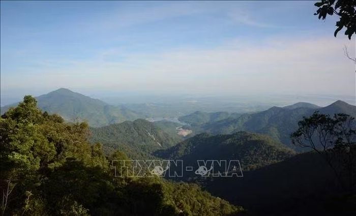 Hệ sinh thái đa dạng rộng lớn tại Vườn quốc gia Bạch Mã. Ảnh: Văn Dũng/TTXVN