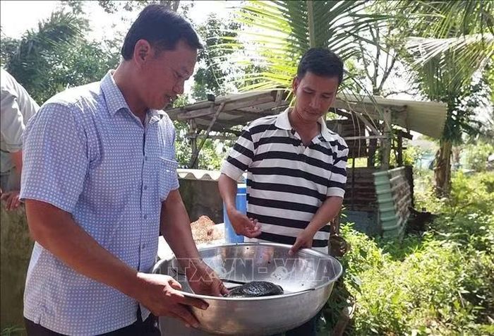 Hướng dẫn kỹ thuật giúp các hộ nghèo phát triển mô hình sản xuất, vươn lên thoát nghèo bền vững.