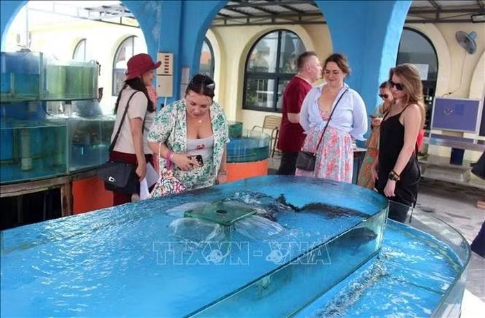 Du khách quốc tế tìm hiểu văn hóa bản địa, ẩm thực địa phương của vùng biển Lâm Đồng.