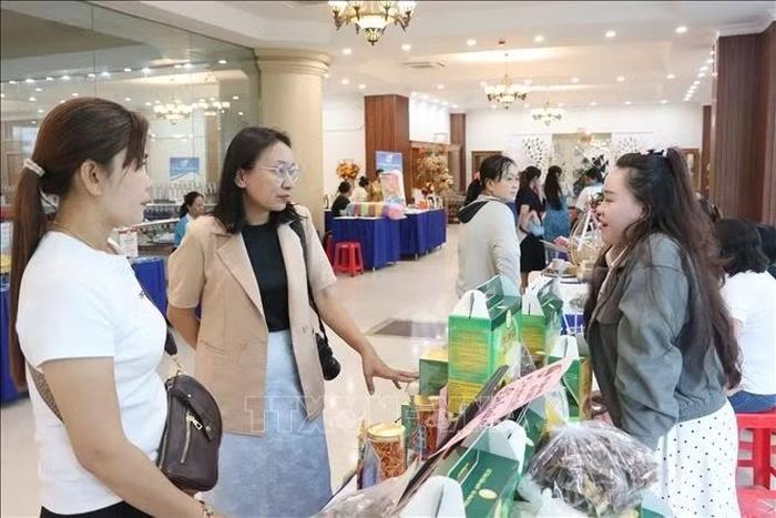 Các gian hàng trưng bày giới thiệu, quảng bá các sản phẩm hợp tác xã, tổ hợp tác xã, hộ sản xuất kinh doanh do phụ nữ tham gia quản lý, điều hành. Ảnh: Phan Sáu/TTXVN