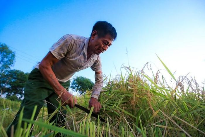 Không để vướng mắc kéo dài ảnh hưởng đến sản xuất và đời sống người dân (Ảnh: Hữu Thắng).