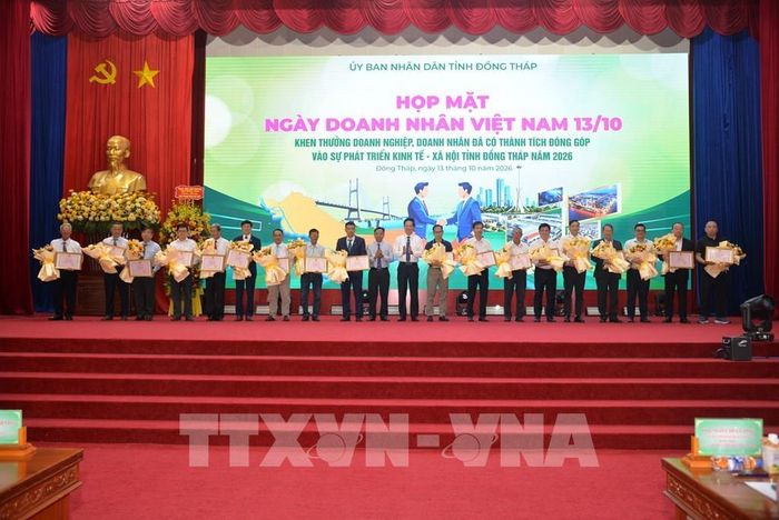 Ông Nguyễn Thành Diệu, Phó Chủ tịch UBND tỉnh Đồng Tháp, trao tặng bằng khen cho 36 cá nhân là doanh nhân tiêu biểu. Ảnh: Hồng Nhung – TTXVN