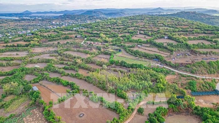 Không gian yên bình, tầm nhìn hướng biển và lối đá mang đến cho Đồi Cổ Thạch sức hút riêng đối với những người yêu thích khám phá, nhiếp ảnh. Ảnh: Xuân Quý - TTXVN