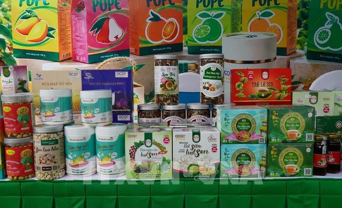 Với sự hỗ trợ của ngành chức năng tỉnh Đồng Tháp, nhiều sản phẩm khởi nghiệp đổi mới sáng tạo đã được đưa ra thị trường. Ảnh: Nhựt An - TTXVN