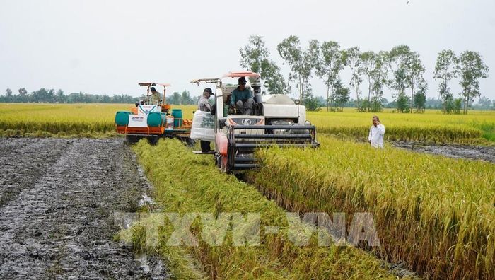 Công ty TNHH Một thành viên cơ khí nông nghiệp Phan Tấn (xã Mỹ Quí) không ngừng nghiên cứu, đổi mới sáng tạo, cung cấp cho thị trường nhiều loại máy nông nghiệp hiện đại. Ảnh: Nhựt An - TTXVN
