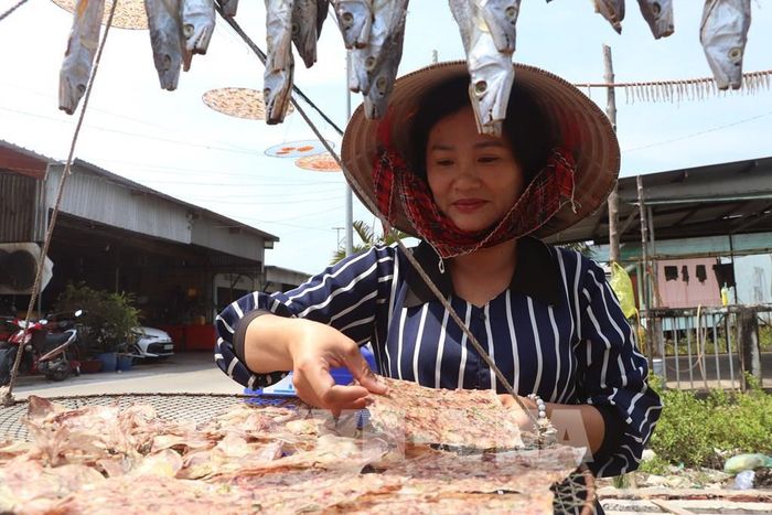 Ngư dân xã Đất Mũi chế biển các loại khô bán cho người tiêu dùng trong nước. Ảnh: Tuấn Phi – TTXVN