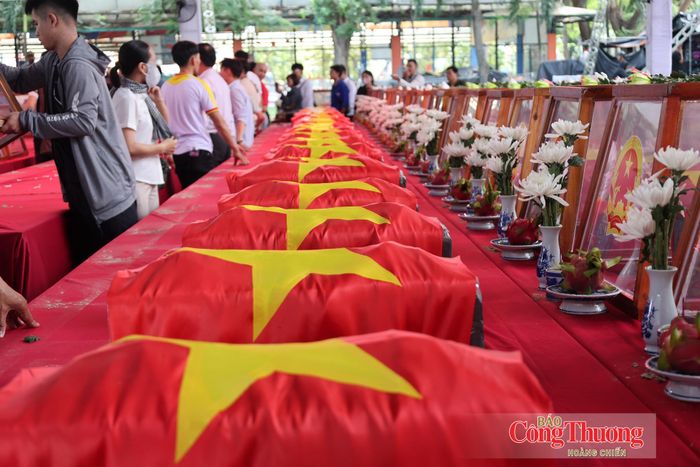 Gần 60 năm cho một cuộc trở về, những anh hùng liệt sĩ đã nằm lại giữa lòng đô thị Sài Gòn, âm thầm làm chứng nhân cho những thăng trầm và chuyển mình đi lên của TP. Hồ Chí Minh.