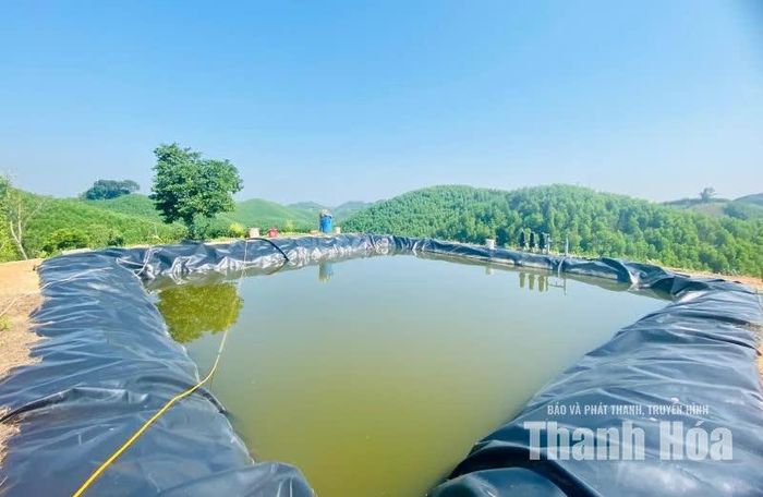 Sự tham gia của HTX Dịch vụ Nông lâm nghiệp Bình Sơn trong tổ chức sản xuất, liên kết các hộ trồng chè và tìm kiếm đầu ra đã mở thêm cơ hội nâng cao giá trị nông sản địa phương. Đáng chú ý, HTX đã đầu tư hồ chứa nước lớn trên đỉnh đồi và lắp đặt hệ thống nước tưới phun sương tự động góp phần nâng cao năng suất cho vùng chè.
