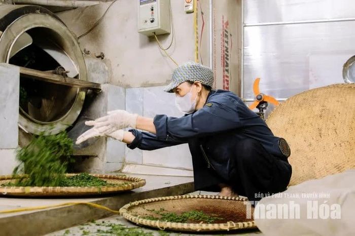Tại Bình Sơn, việc đầu tư máy móc, cải tiến kỹ thuật và nâng cao chất lượng chế biến đã góp phần tạo nên bước chuyển từ bán nguyên liệu sang phát triển sản phẩm mang thương hiệu địa phương.