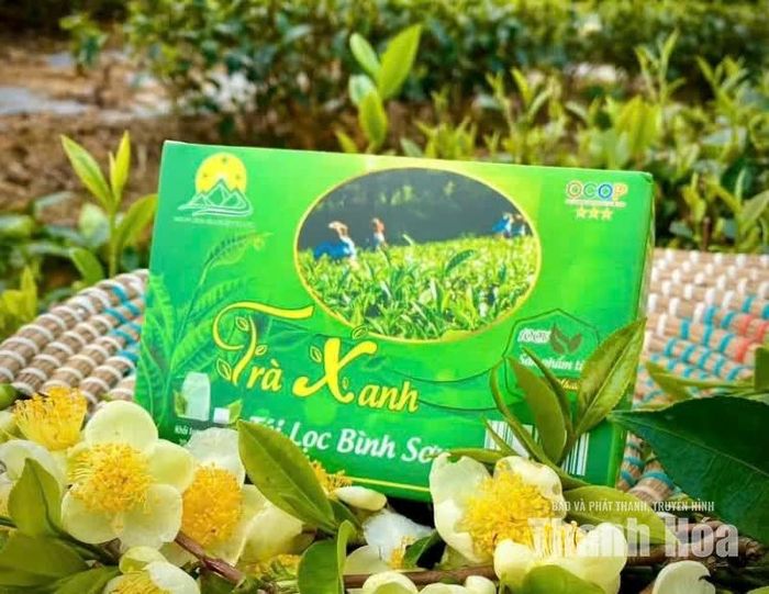 Từ những búp chè xanh trên đồi, sản phẩm chè Bình Sơn đang từng bước khẳng định vị trí trên thị trường bằng chất lượng, mẫu mã và thương hiệu riêng. Vùng đất Bình Sơn đã có 2 sản phẩm OCOP từ cây chè là “Chè sạch Bình Sơn” được công nhận OCOP 4 sao và trà túi lọc Bình Sơn OCOP 3 sao, góp phần đạt đánh dấu bước tiến trong hành trình xây dựng thương hiệu chè xứ Thanh.
