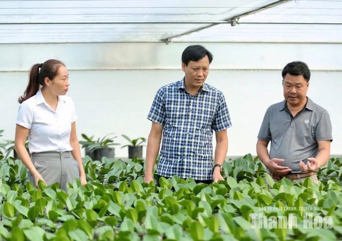 Ông Nguyễn Xuân Thiên (người ngoài cùng bên phải), phường Đông Tiến được vinh danh và trao danh hiệu “Nông dân Việt Nam xuất sắc 40 năm đổi mới”.