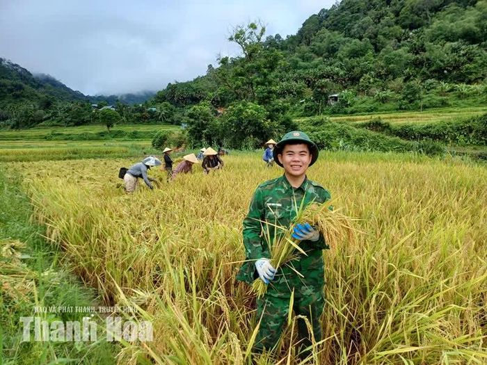 Nụ cười chiến sĩ trẻ trong ngày giúp bà con Mường Mìn thu hoạch lúa.