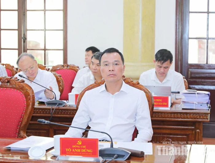Chủ tịch UBND tỉnh Tô Anh Dũng dự hội nghị.